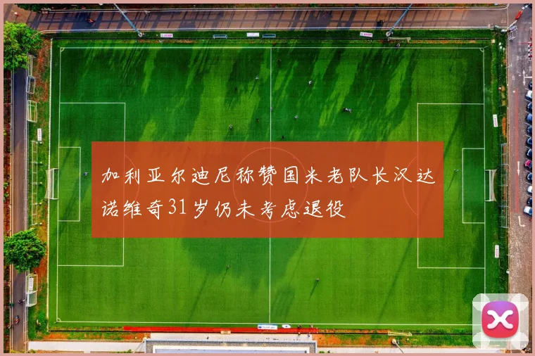 加利亚尔迪尼称赞国米老队长汉达诺维奇31岁仍未考虑退役