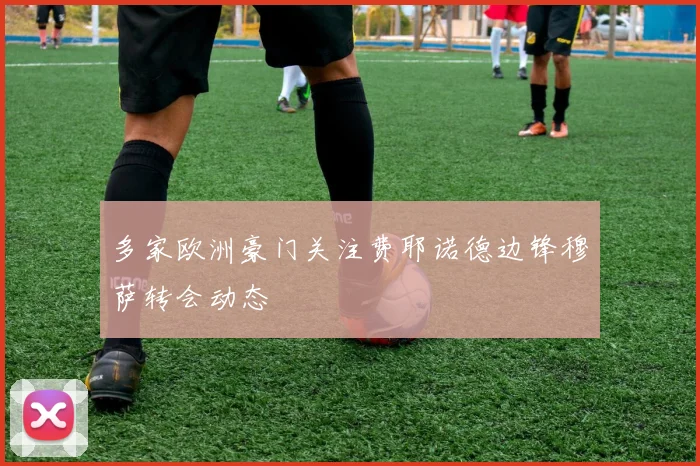 多家欧洲豪门关注费耶诺德边锋穆萨转会动态