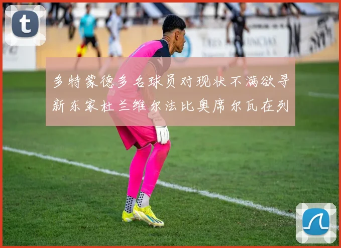 多特蒙德多名球员对现状不满欲寻新东家杜兰维尔法比奥席尔瓦在列