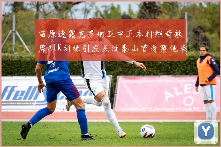 苗原透露克罗地亚中卫本科维奇缺席AIK训练引发关注泰山曾考察他表现