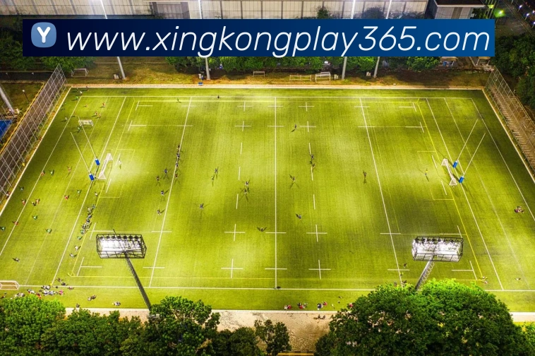 星空电子平台生态图